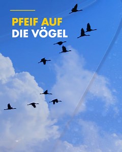Vogelkot nervt? Jetzt mit Shell Car Wash den Autolack reinigen und vorbeugen. Die Saison-Wäsche z. B. schützt den Lack mit Schaumwachs vor Umwelteinflüssen wie Vogelkot, Baumharzen oder Insekten. Einfach mit Shell. 👉 https://go.shell.com/3xUy2we | Shell Deutschland