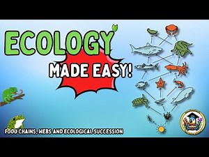 Food Chains, Webs & Ecological Succession Explained! 🌱 Easy and Fun Biology Lesson