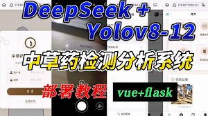 基于DeepSeek Yolov8-12的中草药检测分析系统(vue flask AI)