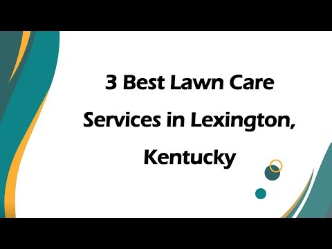 3 Best Lawn Care Services in Lexington, Kentucky | Lawn Maintenance Services