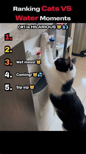 Cats vs Water 😹💦 Funniest Reactions Compilation #Shorts