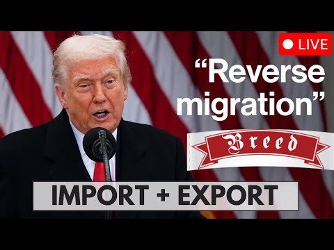 Reverse Migration & Breeding Visa (LIVE)
