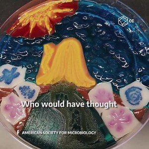 #BacterialArtcompetitions Did you know there are several bacteria art competitions all over the world? Watch till End! | Microbiology World