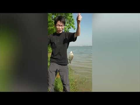 Survive the Wild with Our Real LifeStraw #shorts