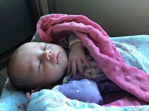 2021 Gerber Baby Search; How Davis Parents Can Apply