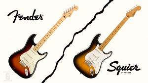 Fender vs Squier Stratocaster: differences and features