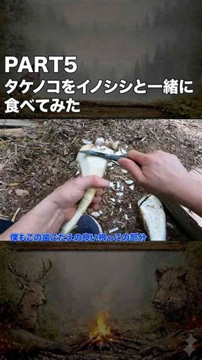 PART5 自分の竹林のタケノコをイノシシと一緒に食べてみた!