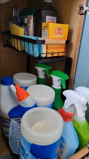 This Under Sink Organizer Creates Instant Storage! 🔥🏠 #organization #organizer