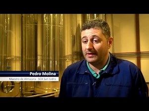 FOSS para Aceite de Oliva –San Isidro