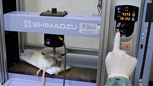 A Non-Invasive Method for Generating the Cyclic Loading-Induced Intra-Articular Cartilage Lesion Model of the Rat Knee