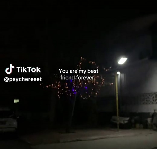 Best Friend Forever Quotes for True Friendship