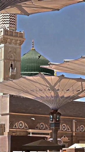 Why Is Madinah So Beautiful? 🕊️✨ | The Divine Peace of Al-Masjid an-Nabawi