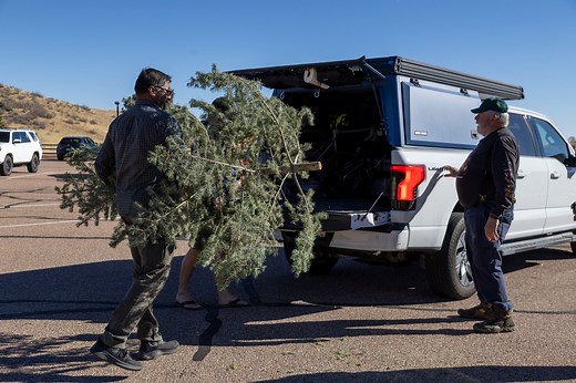 Recycled Christmas trees given new life as fish habitats | Rocky Mountain PBS