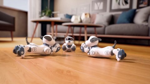 Robot Dog Toy for Kids 3-12: Remote Control Interactive Robot Puppy with Touch & Follow, Programmable Tricks, Dancing & Walking, Birthday Gift for Smart Boys & Girls