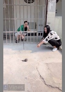 3.5K views | New Best Comedy Videos In Tik Tok Mobile App 2019 Part 03 | Vines | Facebook