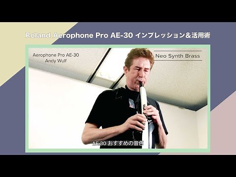 Roland Aerophone Pro AE-30 インプレッション＆活用術① Andy Wulfさん