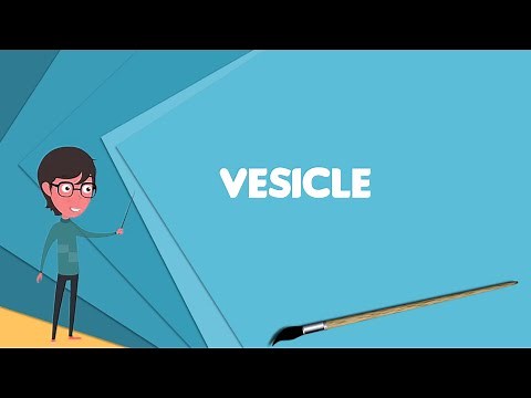 What is Vesicle (biology and chemistry)?, Explain Vesicle (biology and chemistry)