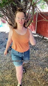 Who’s got a cold plunge pool?! #heatwave #ireland #uk #hot #england #relatable #funny #coldplunge | Riona O Connor