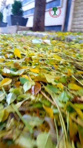 #فولو_اكسبلور_لايك_كومنت #أسأل