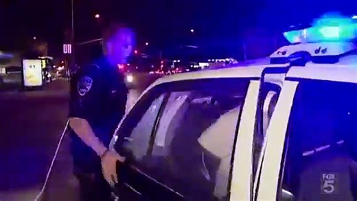 Cops - Se20 - Ep24 HD Watch