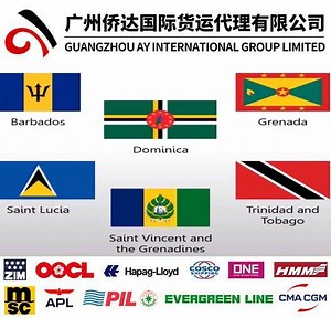 [Hot Item] Sea Freight From China to Caribbean Shipping (Barbados, Dominica, Grenada, Saint Lucia, Saint Vincent & Grenadines, Trinidad and Tobago)