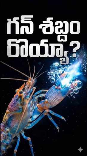 Pistol Shrimp Gun Shot Sound 😳 | 200 Decibels Underwater Shock Wave #youtubeshorts