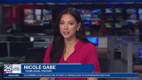 Rhode Island prosecutor whose arrest went viral pleads no contest to trespassing charges