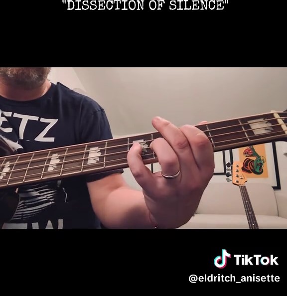 Eldritch Anisette: Dissection of Silence Acoustic Tutorial