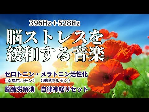 【脳ストレスを緩和する音楽】 《396Hz＋528Hz》 幸せホルモン セロトニン & 睡眠ホルモン メラトニンの活性化 脳疲労を解消し自律神経を整える