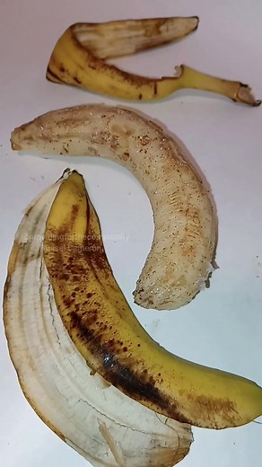 Lab Banana: Removing Old Skin Process Explained
