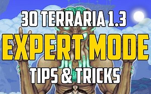 30条专家模式的小贴士和技巧! (Terraria 1.3)