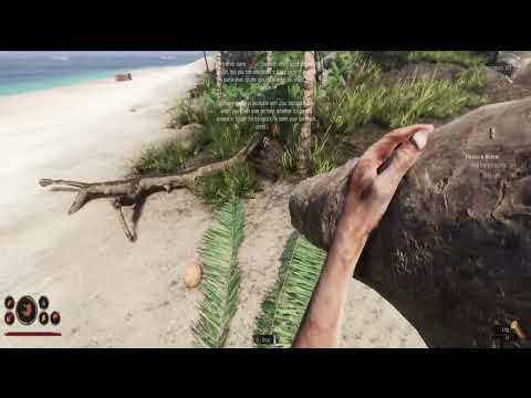 🏝️ CAN I FIND THE HIDDEN TREASURE? - Project Castaway Gameplay Part 1 (Steam Survival)