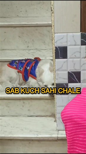 aisa *mere* hi sath kyu hota hai😭🥀 #cbseclass12 #minivlog #boards2026 #ytshorts #fypシ゚viral #shorts