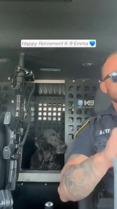 59K views · 1.8K reactions | #k9 #k9unit #policek9 #k9cop #k9gsds #k9security #k9protection #k9unit #k9lifeline #policek9intraining #policek9unit #k9lifesavers #k9handlers #k9cops #k9lifestyle #k9team #policedog | K9 UNIT PROUD | Facebook