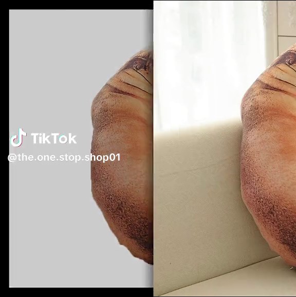 3D Lifelike Dog Pillow Imbued with humor and crafted with love, this 3D Realistic Dog Pillow promises not just comfort but a hearty dose of laughter to any room. Made from plush PP cotton, the pillow feels invitingly soft to the touch while maintaining durability for sustained use. Its uniquely hilarious and lifelike dog pattern, designed with meticulous attention to detail, can effortlessly prank friends and serve as a conversation-starter in any setting. Perfect for dog lovers or as a lighthea