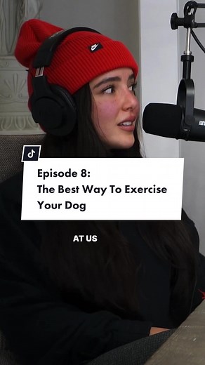 How to Effectively Exercise Your Dog for Calm Behavior