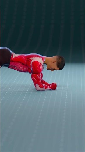 Perfect Plank Setup for Maximum Stability #abs