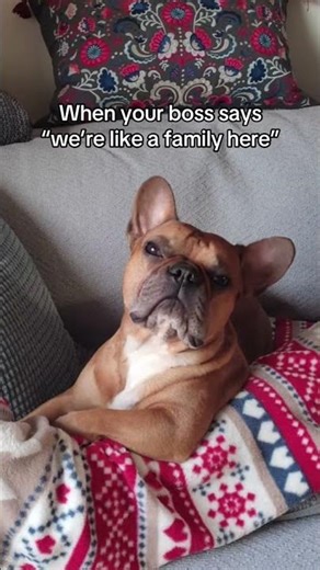 When your boss says "we're like a family here"