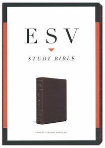 ESV Study Bible, Burgundy Genuine Leather with Thumb Index