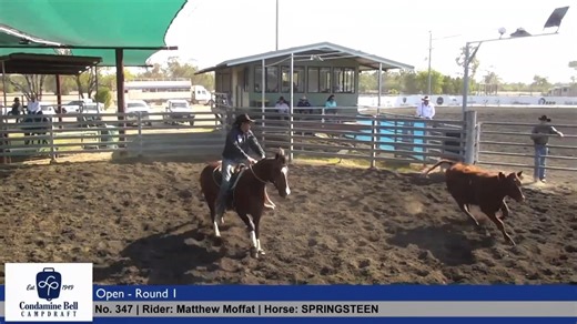 8.4K views · 91 reactions | ퟐퟎퟐퟓ 퐂퐨퐧퐝퐚퐦퐢퐧퐞 퐁퐞퐥퐥 퐎퐩퐞퐧 퐑퐝ퟏ We think...