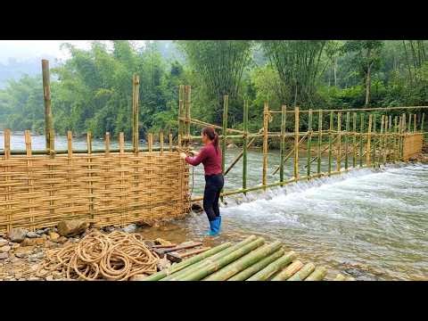 TIMELAPSE : A Young Girl Builds A Handmade Bamboo Fence To Regulate Natural Water Flow