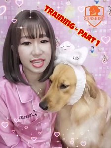650K views · 46K reactions | Dog Training - Part 1 Sunshineလေးကို...