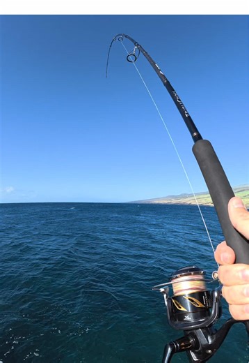 Morning Fishing Tips: Tackle and Jigging in Hawaii