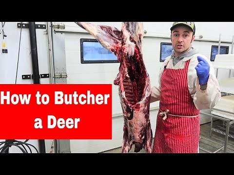 How to Debone a Deer, How to Butcher/Cut a Deer.