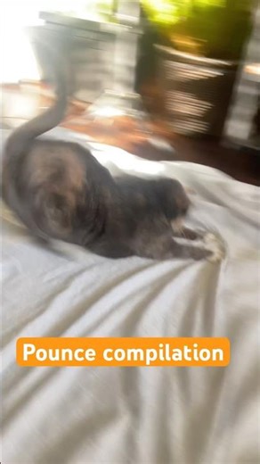 Sound on for body slams 🔊