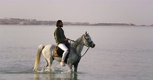 A handsome man riding the saddle of his white horse in the Red Sea