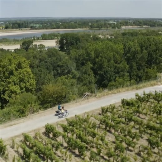 23K views · 184 reactions | Wine tourism in the Loire Valley  Cycling and wine tasting… get the best of both worlds here in Atlantic Loire Valley  Click the link in the comments to start planning your trip! | Visit Atlantic Loire Valley | Facebook
