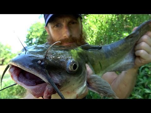 Catch and Cook PRIMITIVE CATFISH on Coals & CACTUS Tuna! Ep05 | 100% WILD Food SURVIVAL Challenge!