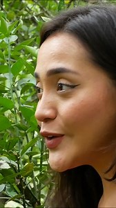 Jamas penso que SU MEJOR AMIGA seria CAPAZ de HACER ESTO PART1 . . . . . . . . . . #reflexes #reflexionesdevida #turincondereflexiones #reflexionesbontas #elgitano #reflexao #mensajesdelavida #reflexioescristianas #reflexionesdedios #reflexionesbontas | La Familia Amarilla