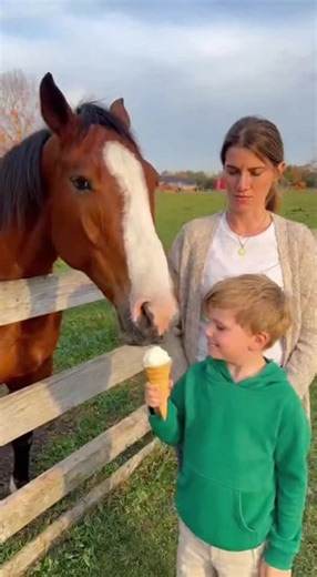 Even horses know when to mind their manners 🍦🐴 #HorseHumor #AnimalLogic #RealisticComedy